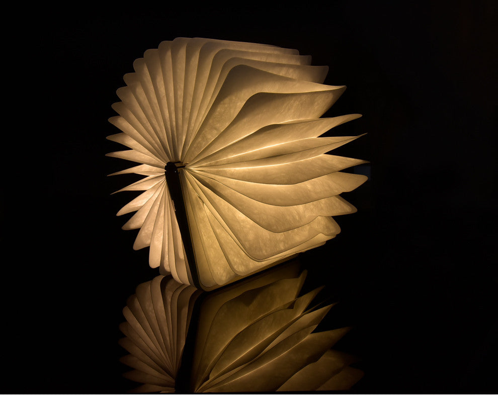 Foldable LED Book Light
