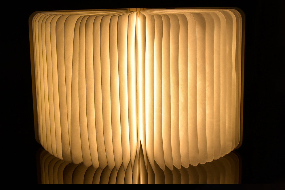 Foldable LED Book Light