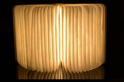 Foldable LED Book Light
